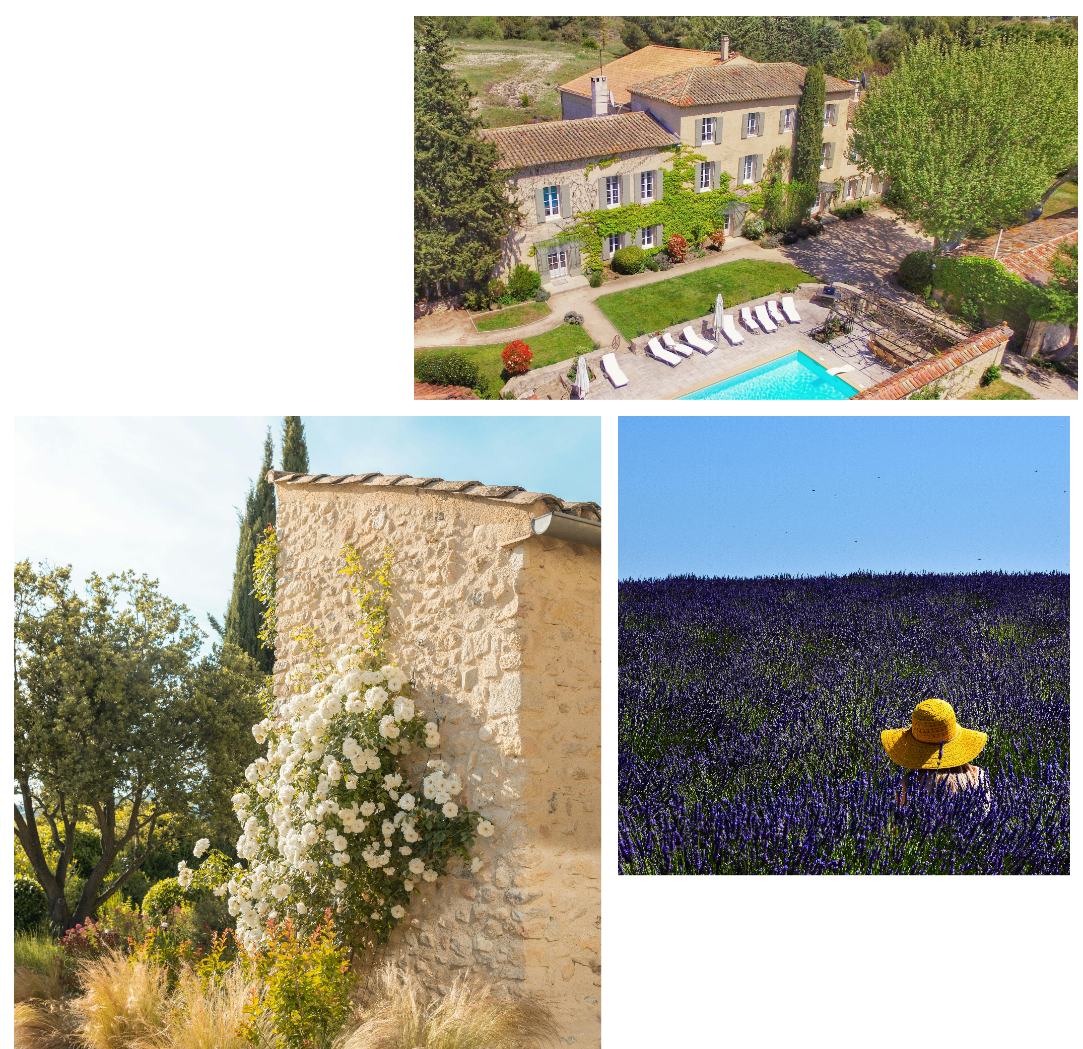 bâtiment provençal et champ de lavande